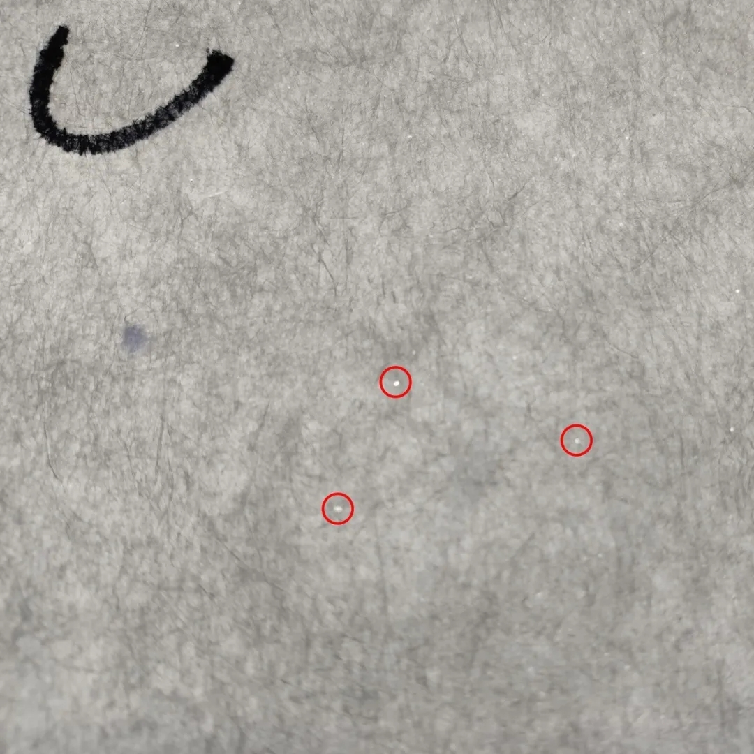 /ueditor/jsp/upload/image/20200514/1589417118410092533.jpg /ueditor/jsp/upload/image/20200514/1589417118410092533.jpg